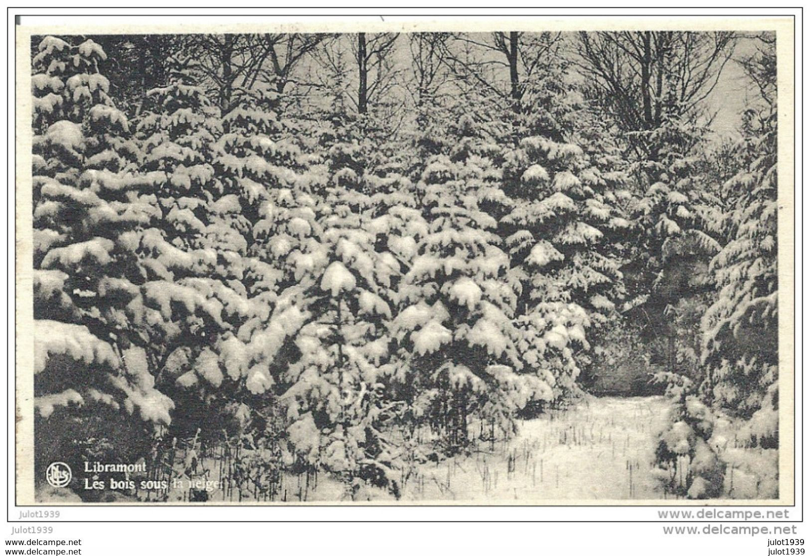 LIBRAMONT ..-- Les Bois Sous La Neige . - Libramont-Chevigny