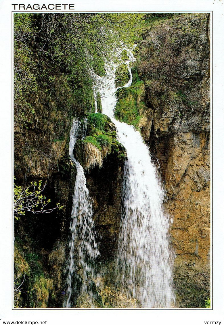 TRAGACETE : Cascada De San Blas Con Arbol Fosil - Cuenca