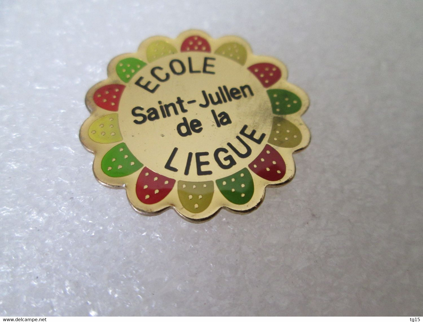 PIN'S    ECOLE   DE LA LIEGUE  SAINT JULIEN - Administrations