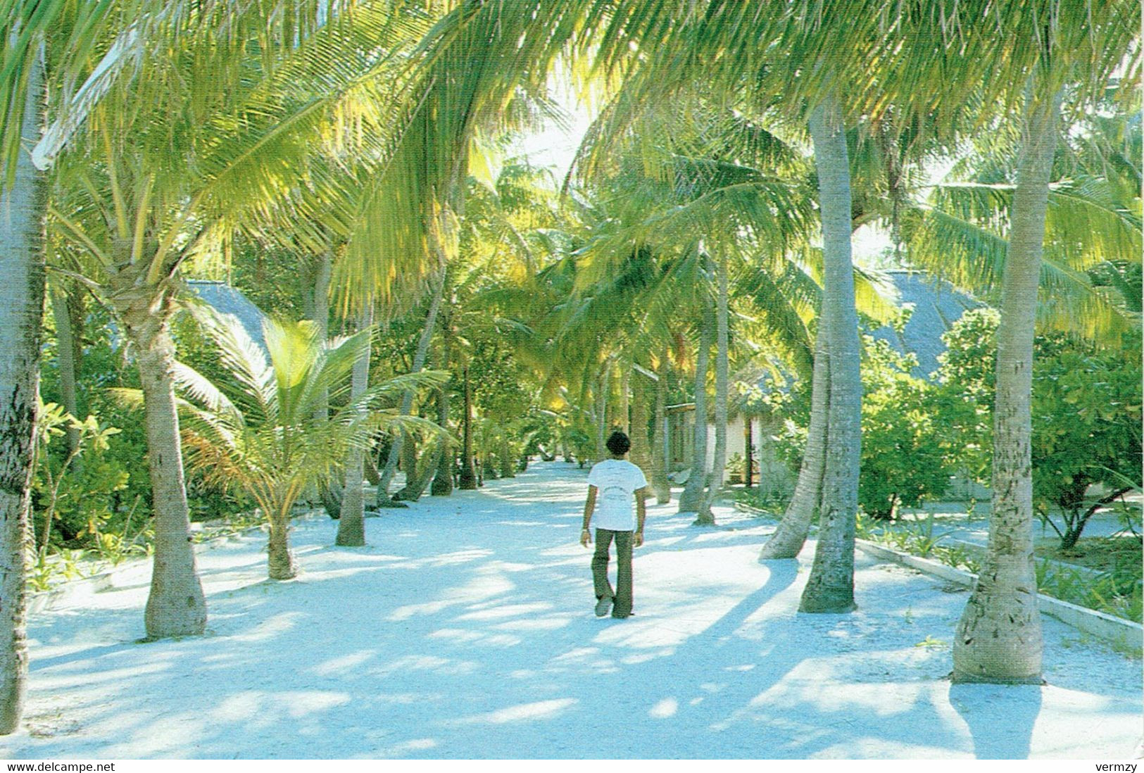 LANKAN FINOLU - A Visitors Dream - Maldiven