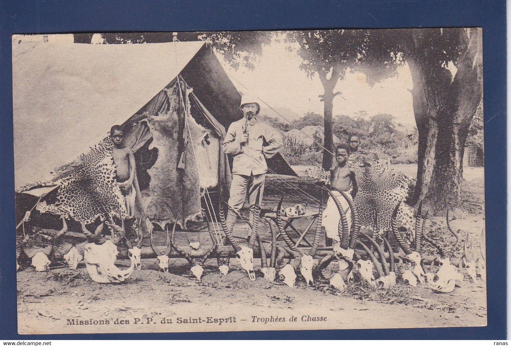 CPA Congo Français Afrique Noire Circulé Chasse Chasseur Trophées - Congo Francés