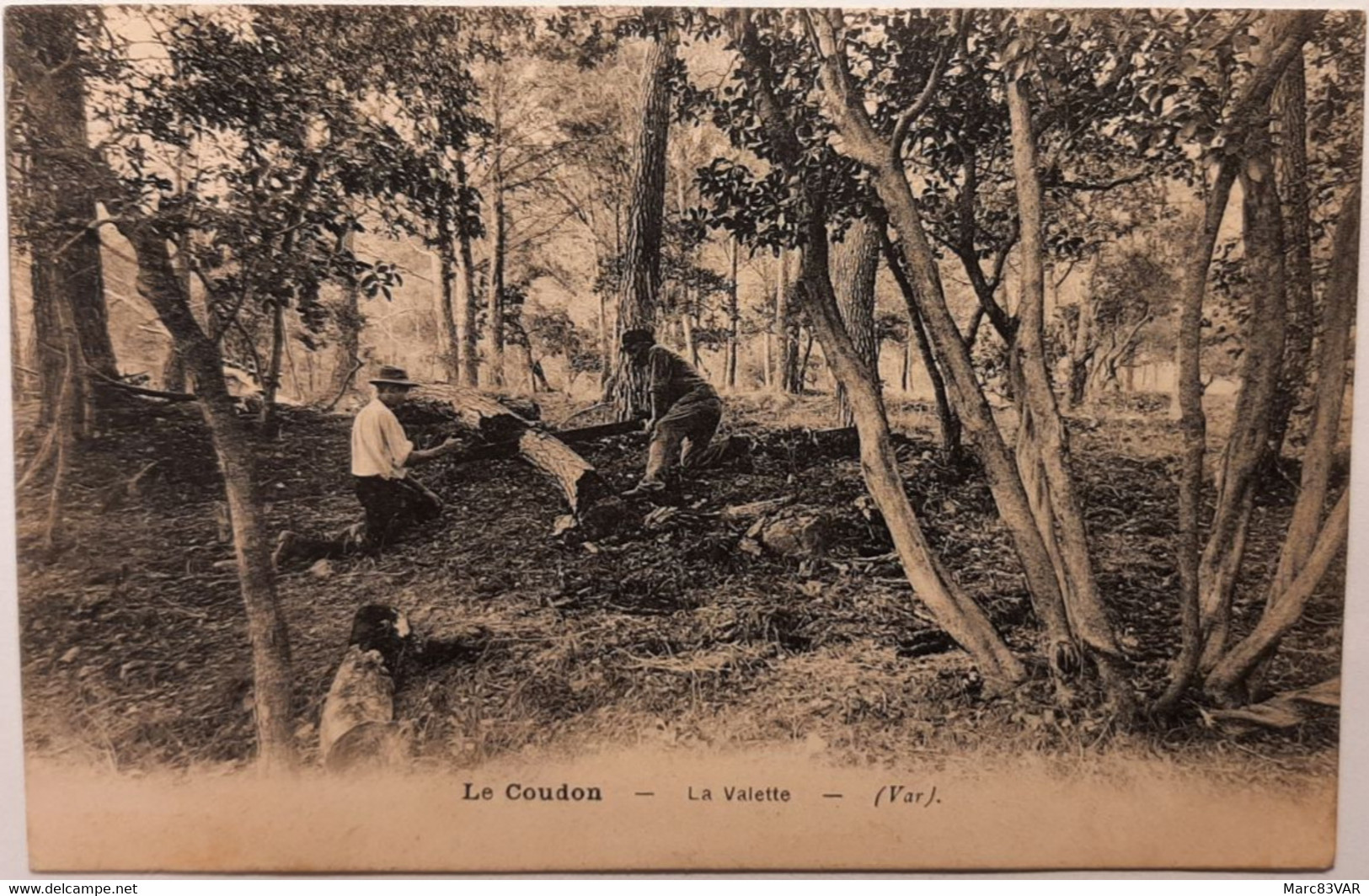 Le Coudon - La Valette (Var) - La Valette Du Var