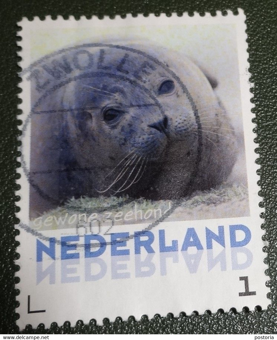 Nederland - NVPH - 3013-Aa-15 - Zoogdieren - 2013 - Persoonlijke Gebruikt - Gewone Zeehond - Sellos Privados