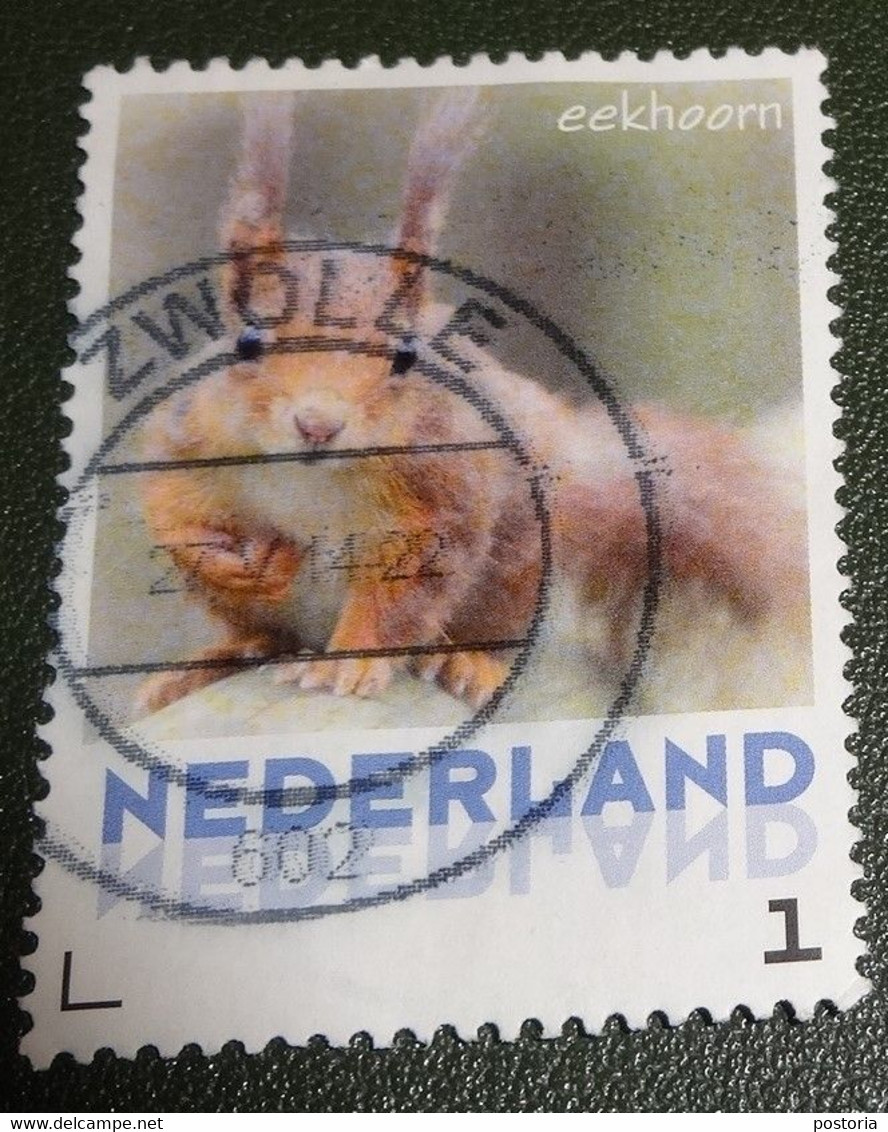 Nederland - NVPH - 3013-Aa-11 - Zoogdieren - 2013 - Persoonlijke Gebruikt - Eekhoorn - Francobolli Personalizzati