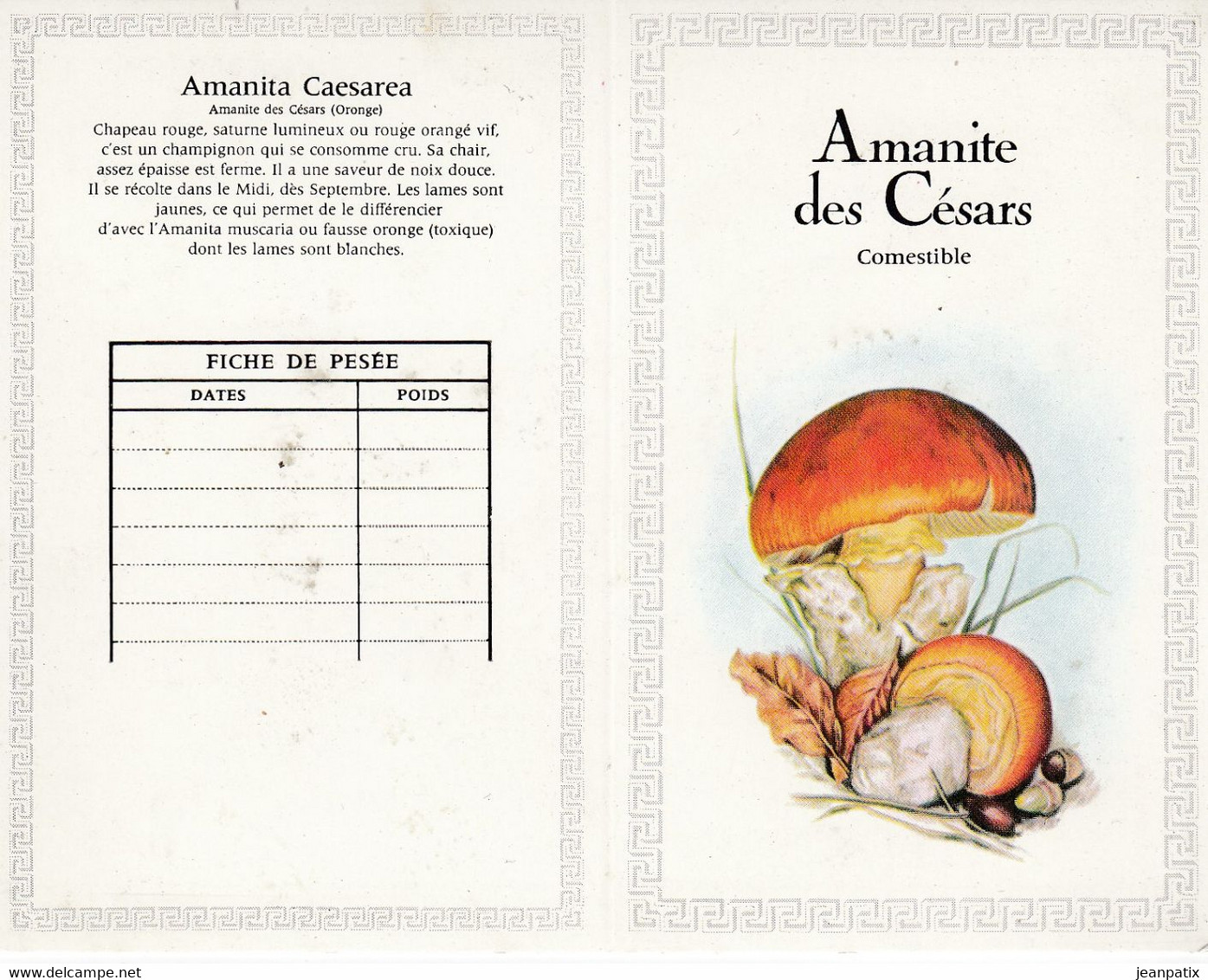 Petit Calendrier De Poche 1974  - Pharmacie - Champignon - Amanite Des Césars - Kleinformat : 1971-80