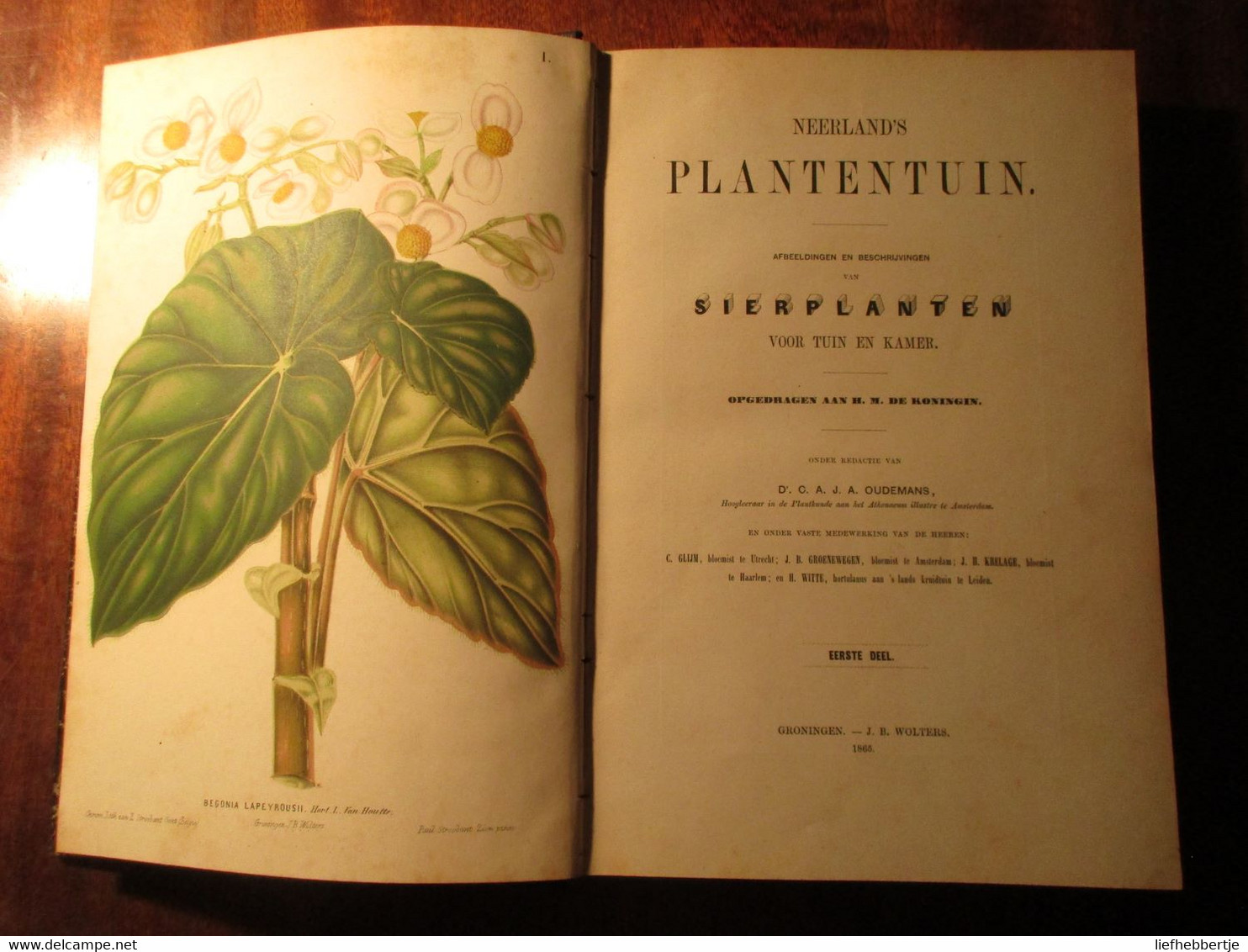 Neerlands Plantentuin - Sierplanten Voor Tuin En Kamer - Door C. Oudemans - 1865 - Deel 1 - Bloemen - Antiquariat