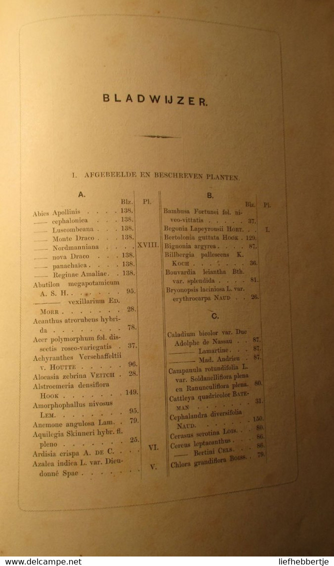 Neerlands Plantentuin - Sierplanten Voor Tuin En Kamer - Door C. Oudemans - 1865 - Deel 1 - Bloemen - Antique