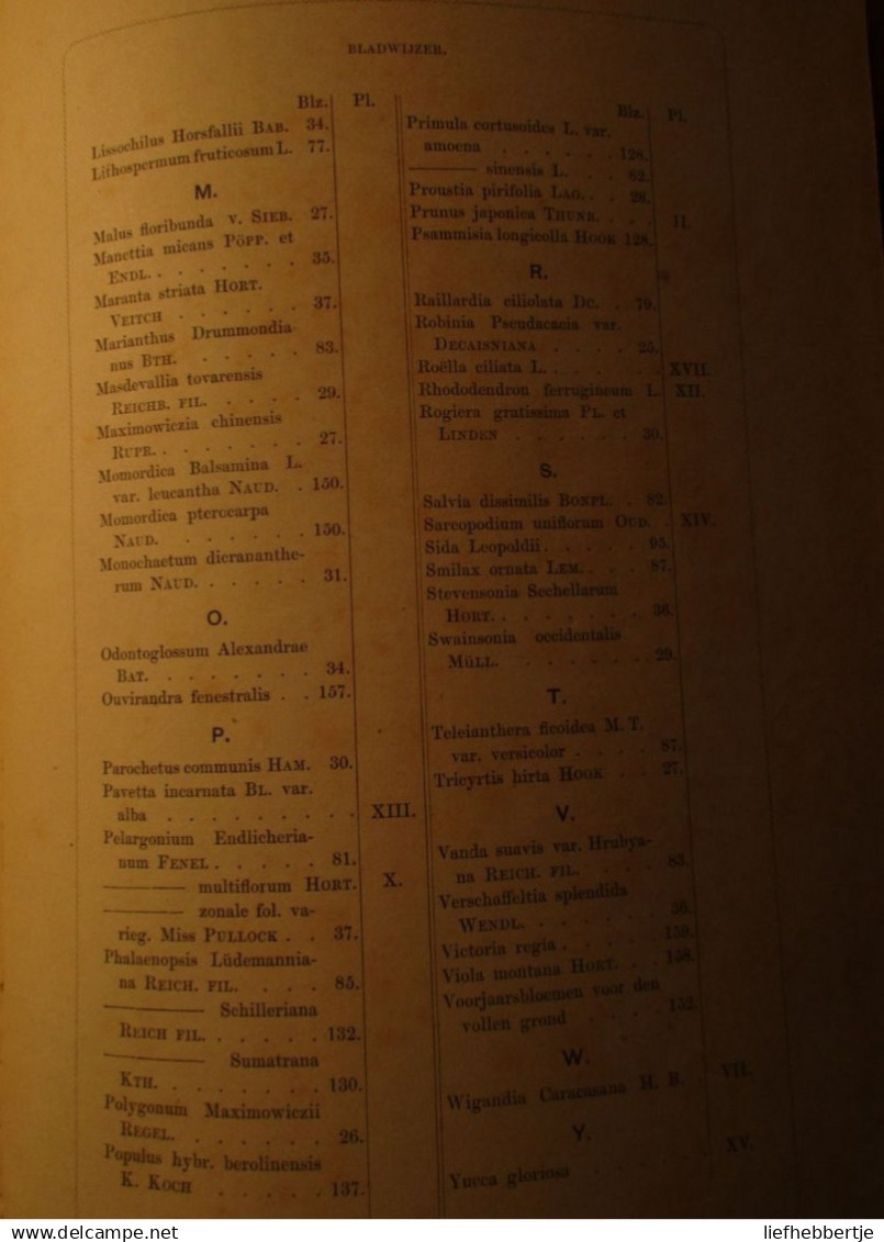 Neerlands Plantentuin - Sierplanten Voor Tuin En Kamer - Door C. Oudemans - 1865 - Deel 1 - Bloemen - Antique