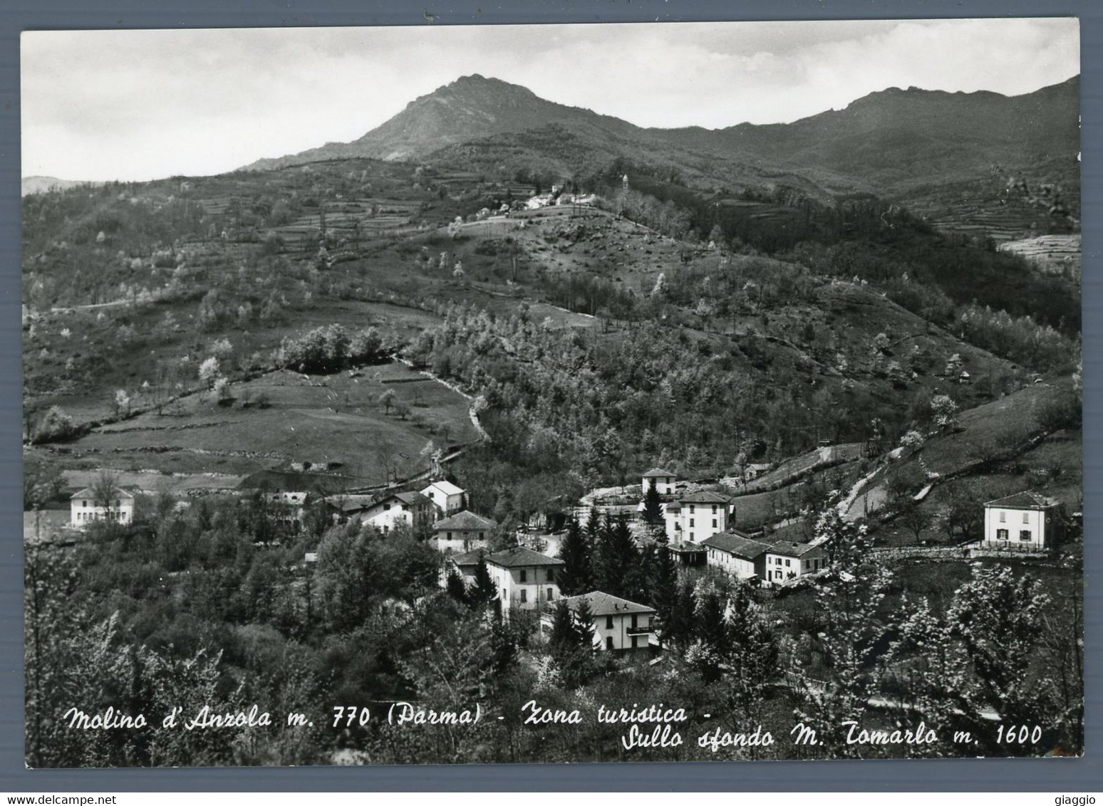 °°° Cartolina - Molino D'anzola Nuova ( F ) °°° - Parma