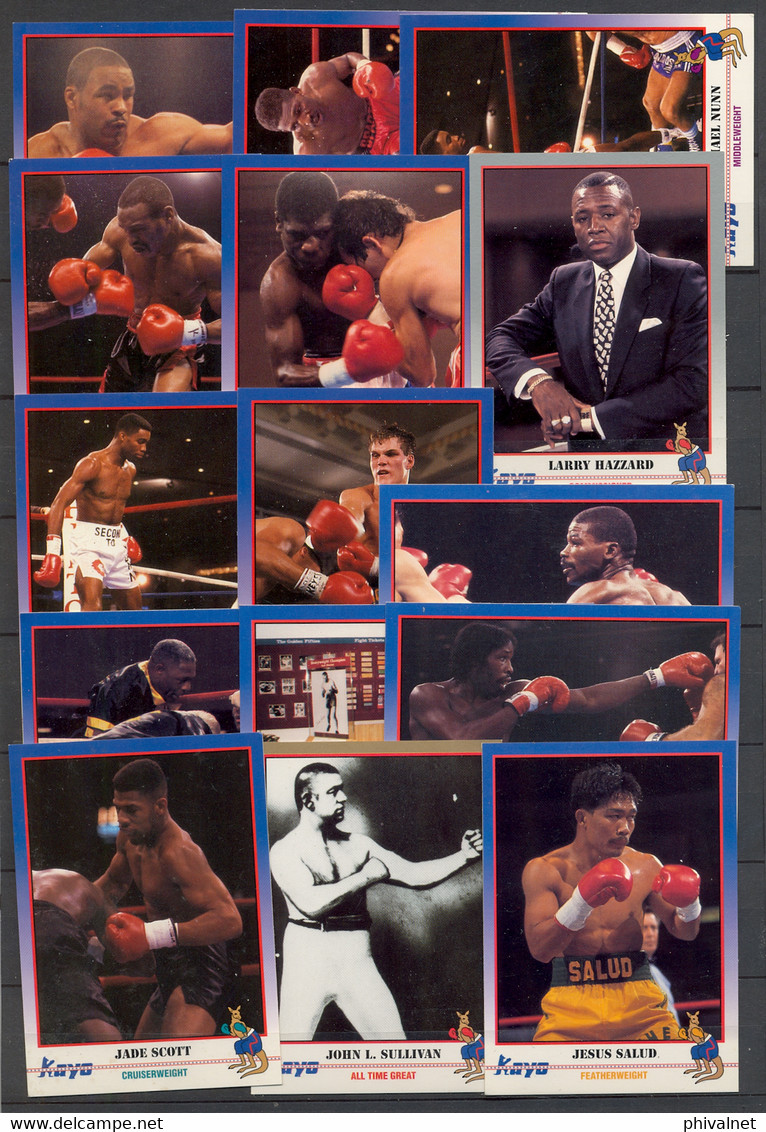 AÑO 1991 , LOTE DE CROMOS #1 , TEMA BOXEO , BOXING , BOXEN , BOX , FIGHT ,  GRAN LOTE - Altri & Non Classificati