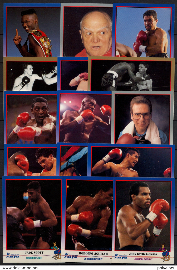 AÑO 1991 , LOTE DE CROMOS #2 , TEMA BOXEO , BOXING , BOXEN , BOX , FIGHT ,  GRAN LOTE - Autres & Non Classés