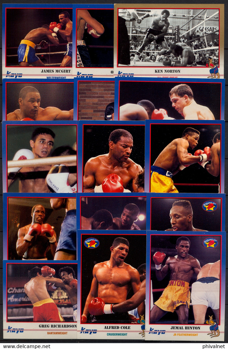 AÑO 1991 , LOTE DE CROMOS # 3 , TEMA BOXEO , BOXING , BOXEN , BOX , FIGHT ,  GRAN LOTE - Altri & Non Classificati