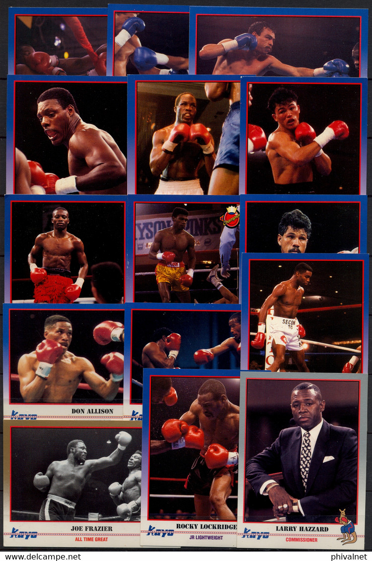 AÑO 1991 , LOTE DE CROMOS # 4 , TEMA BOXEO , BOXING , BOXEN , BOX , FIGHT ,  GRAN LOTE - Otros & Sin Clasificación