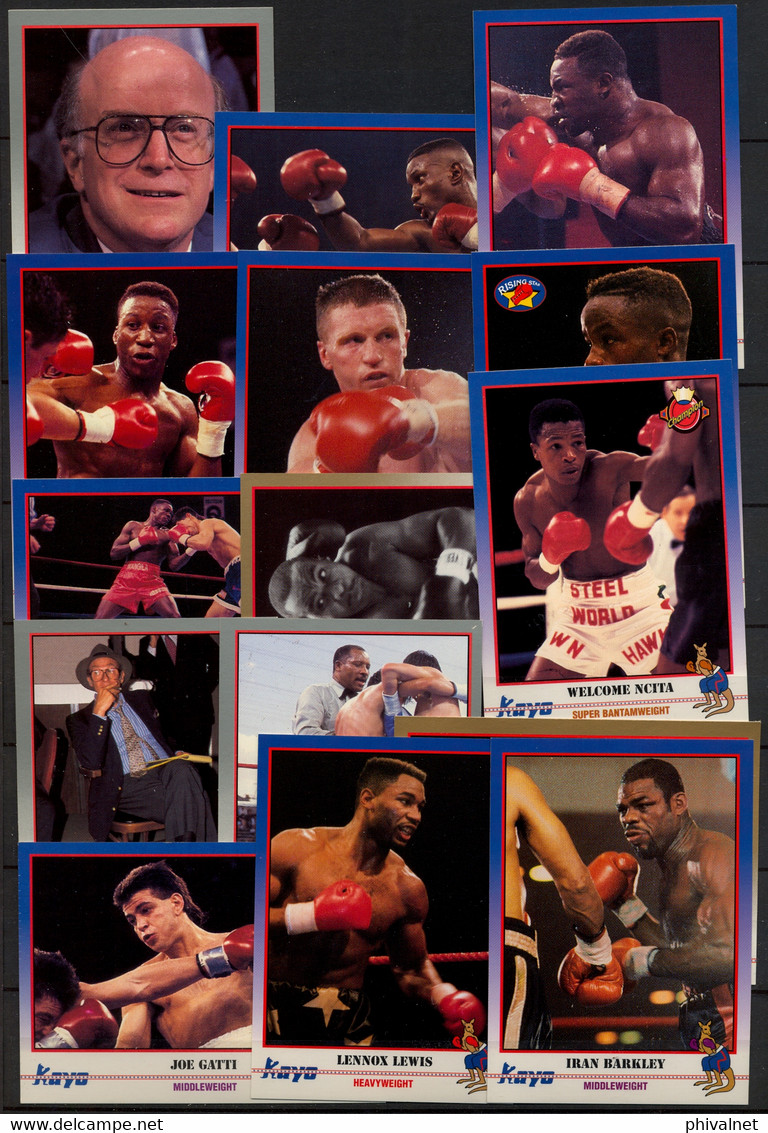 AÑO 1991 , LOTE DE CROMOS # 6, TEMA BOXEO , BOXING , BOXEN , BOX , FIGHT ,  GRAN LOTE - Otros & Sin Clasificación