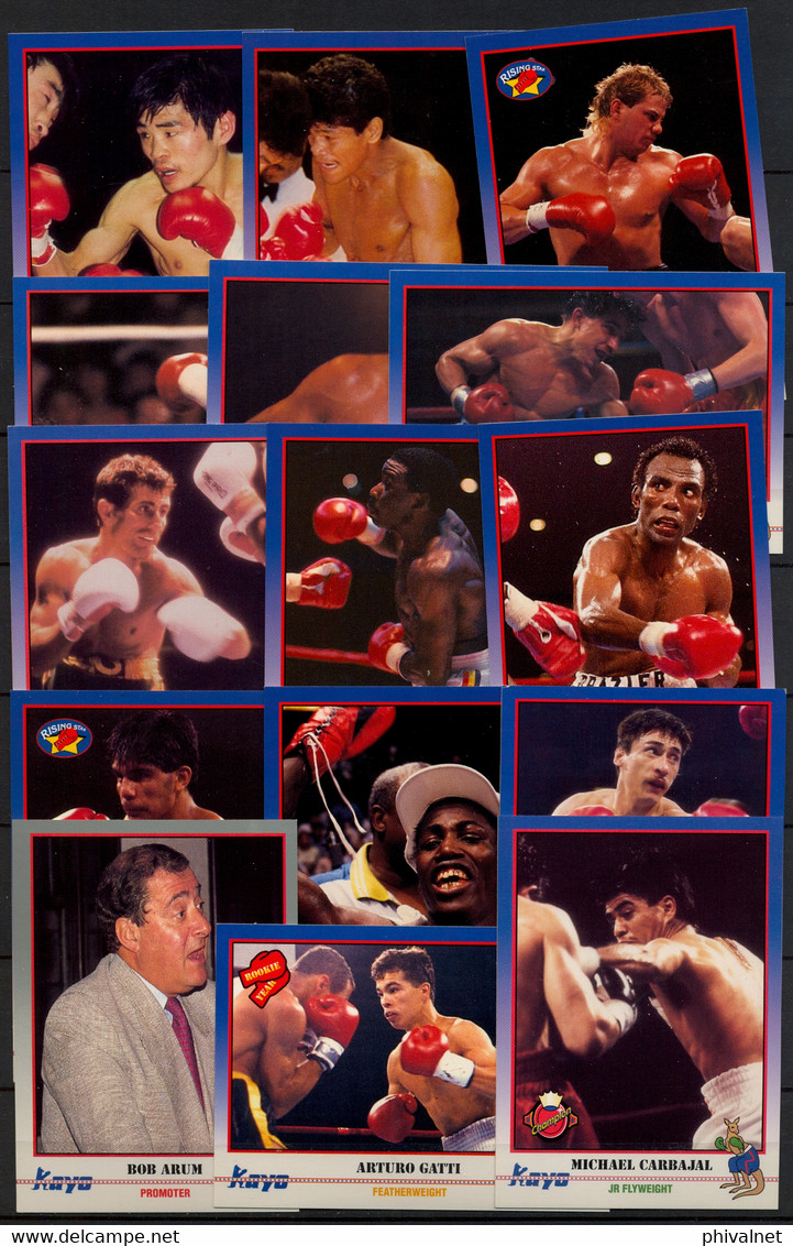 AÑO 1991 , LOTE DE CROMOS # 7 , TEMA BOXEO , BOXING , BOXEN , BOX , FIGHT ,  GRAN LOTE - Autres & Non Classés