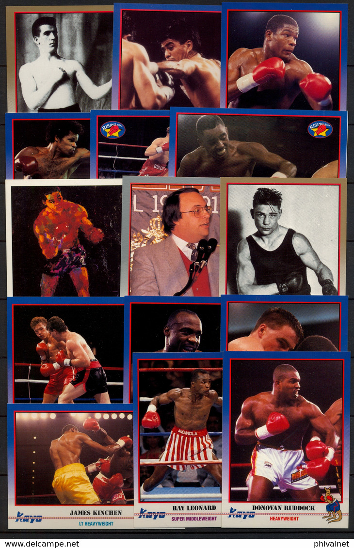 AÑO 1991 , LOTE DE CROMOS # 8 , TEMA BOXEO , BOXING , BOXEN , BOX , FIGHT ,  GRAN LOTE - Autres & Non Classés