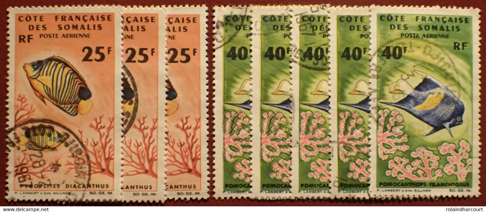 DF50500/1307 - 1966 - CÔTE DES SOMALIS - POSTE AERIENNE - N°50-51 ☉ - Cote (2020) : 56,50 € - Used Stamps