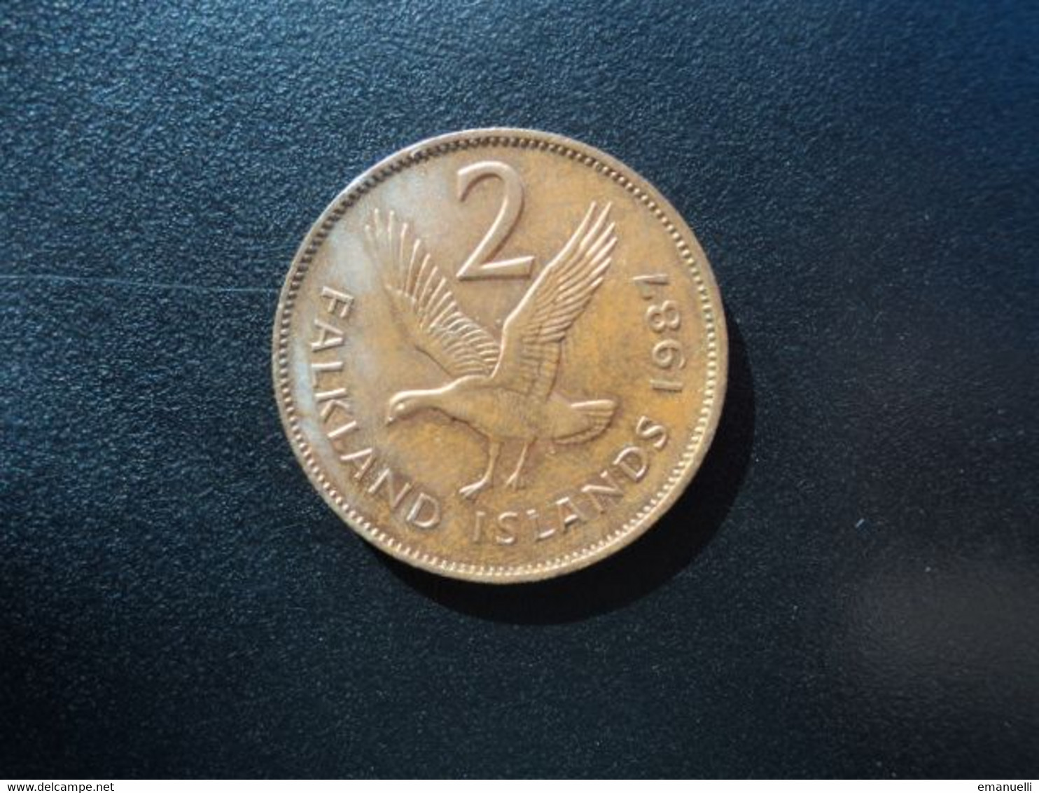 Îles FALKLAND : 2 PENCE   1987    KM 3     SUP * - Falklandeilanden