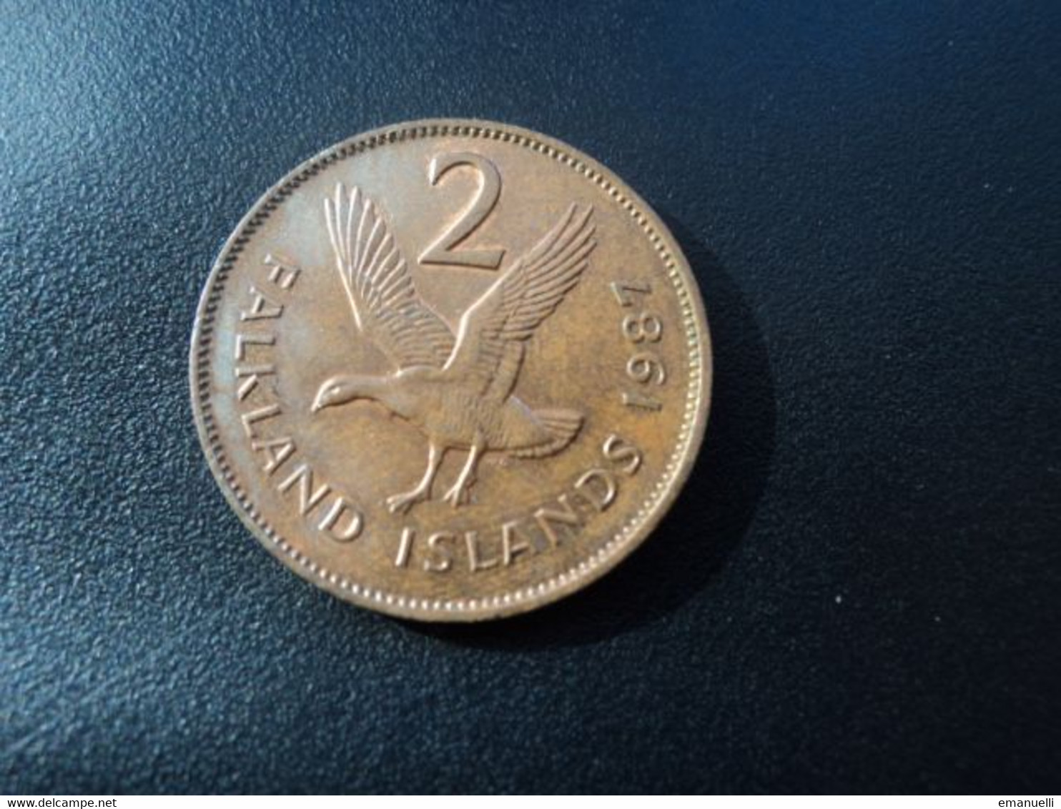 Îles FALKLAND : 2 PENCE   1987    KM 3     SUP * - Falklandinseln