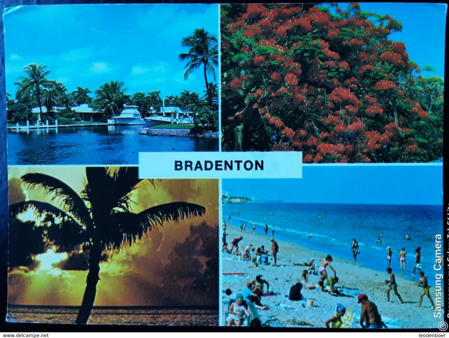 Bradenton - CD554 - Bradenton