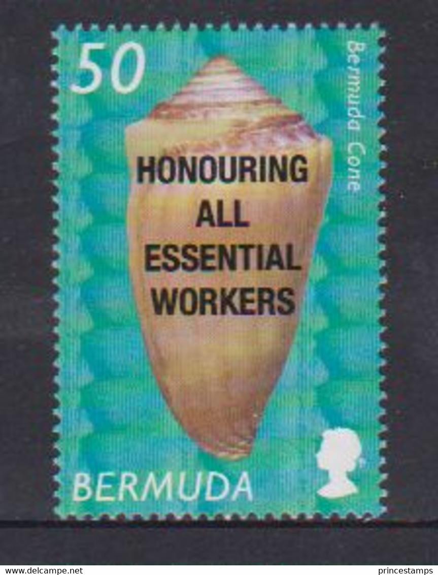 Bermuda (2021) - Set - /  COVID 19 - Health - Medicine - Shell - Krankheiten