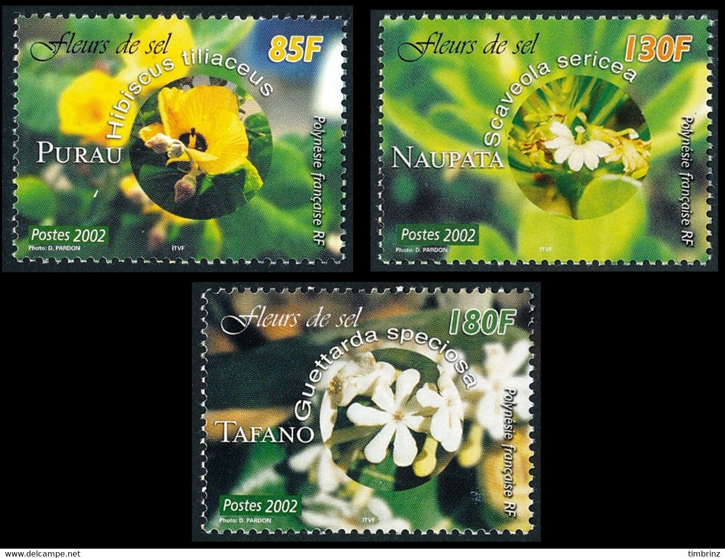 POLYNESIE 2002 - Yv. 677 678 Et 679 **   Faciale= 3,32 EUR - Fleurs De Sel (3 Val.)  ..Réf.POL26533 - Unused Stamps