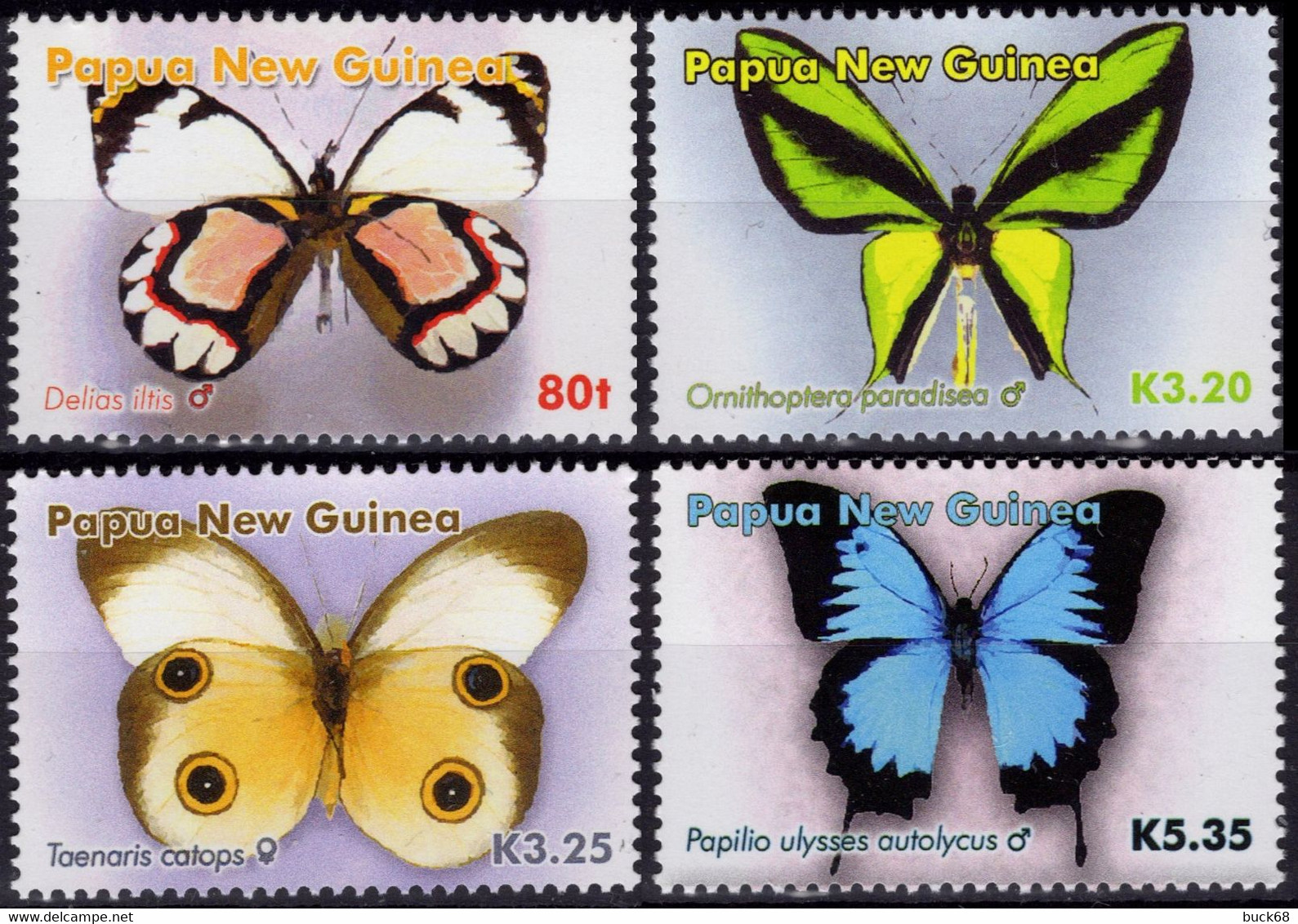 PAPUA & NEW GUINEA Papouasie & Nouvelle-Guinée 1101 à 1104 ** MNH Papillon Vlier Butterfly Schmetterling 2006 - Papua New Guinea