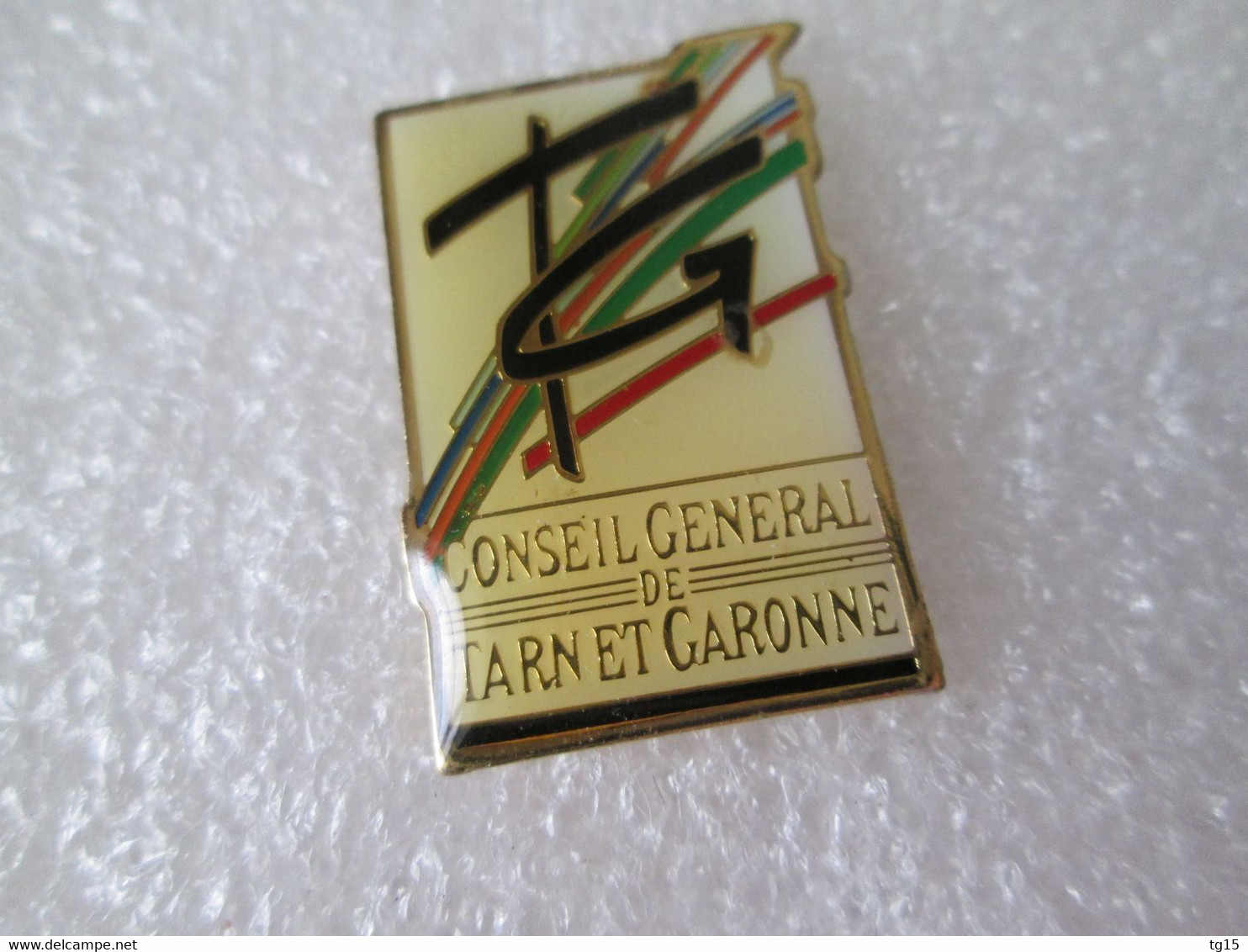 PIN'S    CONSEIL GENERAL DE TARN ET GARONNE - Administrations