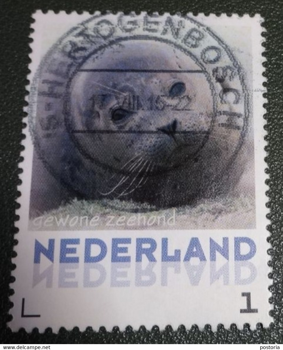 Nederland - NVPH - 3013-Aa-15 - Zoogdieren - 2013 - Persoonlijke Gebruikt - Gewone Zeehond - Personalisierte Briefmarken