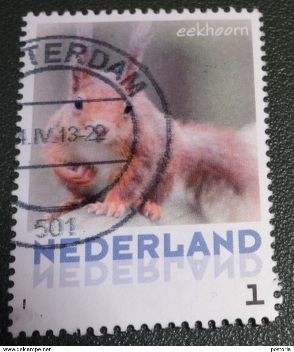 Nederland - NVPH - 3013-Aa-11 - Zoogdieren - 2013 - Persoonlijke Gebruikt - Eekhoorn - Persoonlijke Postzegels