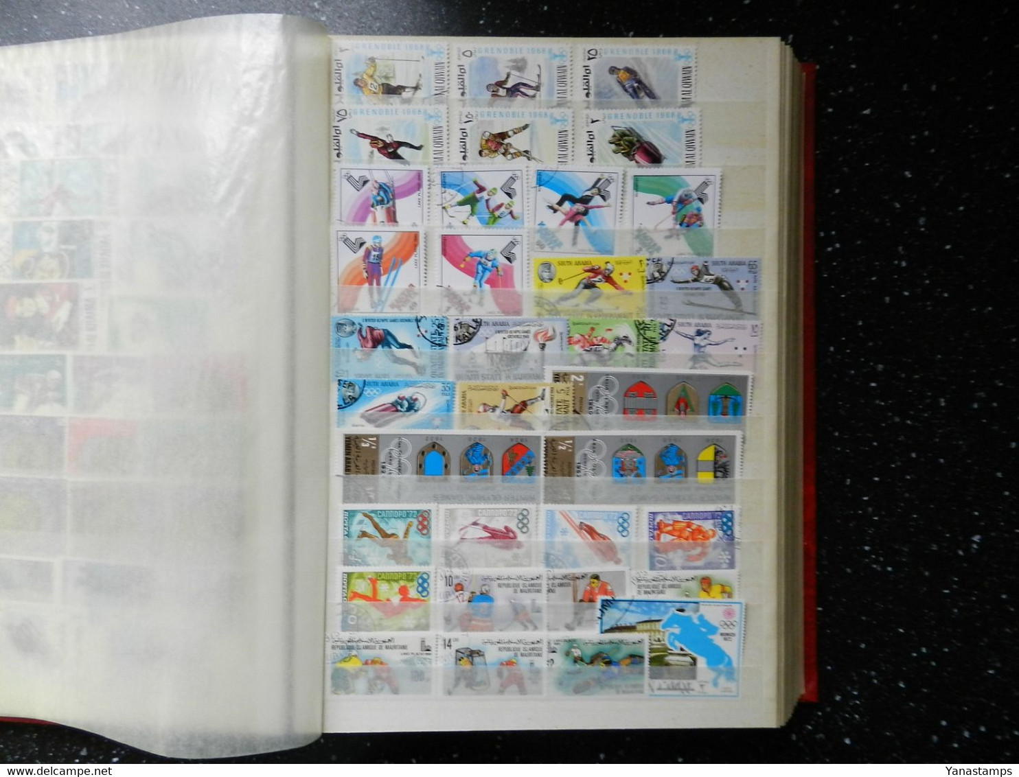 Wintersports/Olympics : Stockbook Full Of Stamps With 120+ Blocks/sheetlets, CHEAP !!! - Sammlungen (im Alben)