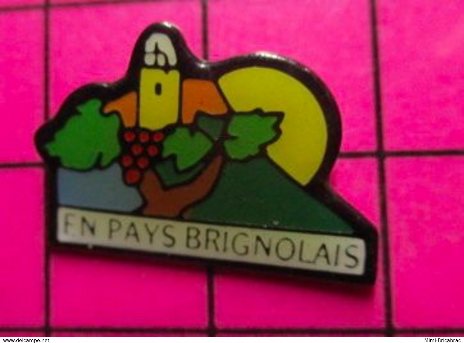 915c Pin's Pins / Beau Et Rare / THEME : VILLES / BRIGNOLES VIN VIGNE RAISIN EN PAYS BRIGNOLAIS - Villes