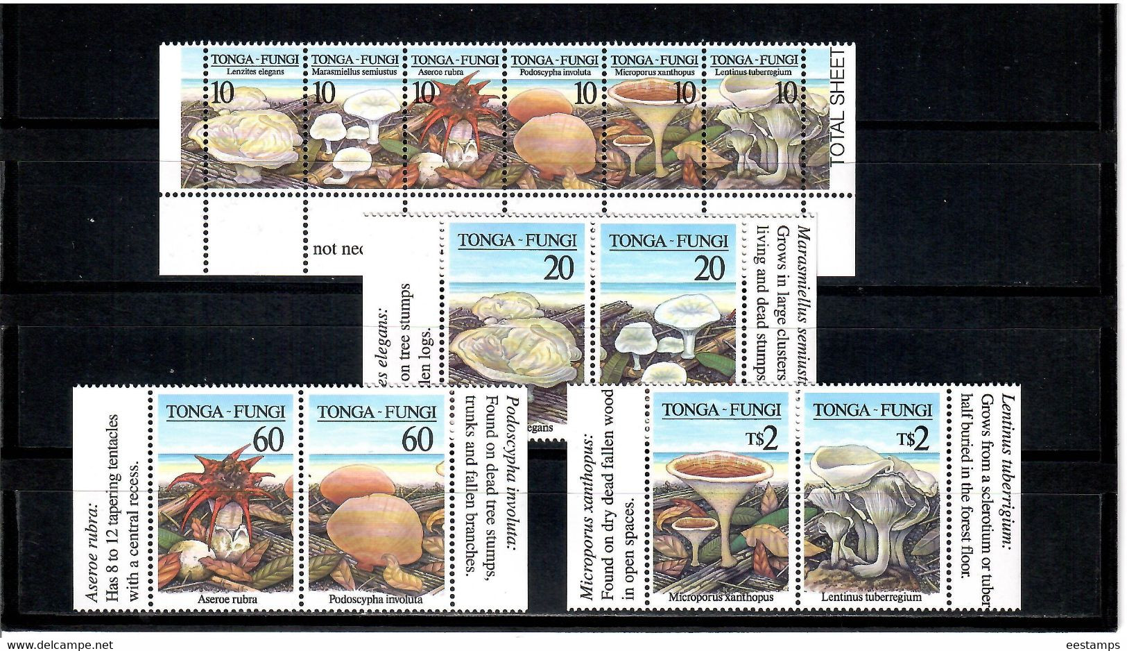 Tonga 1997 . Mushrooms . 12v.  Michel # 1494-1505 - Tonga (1970-...)