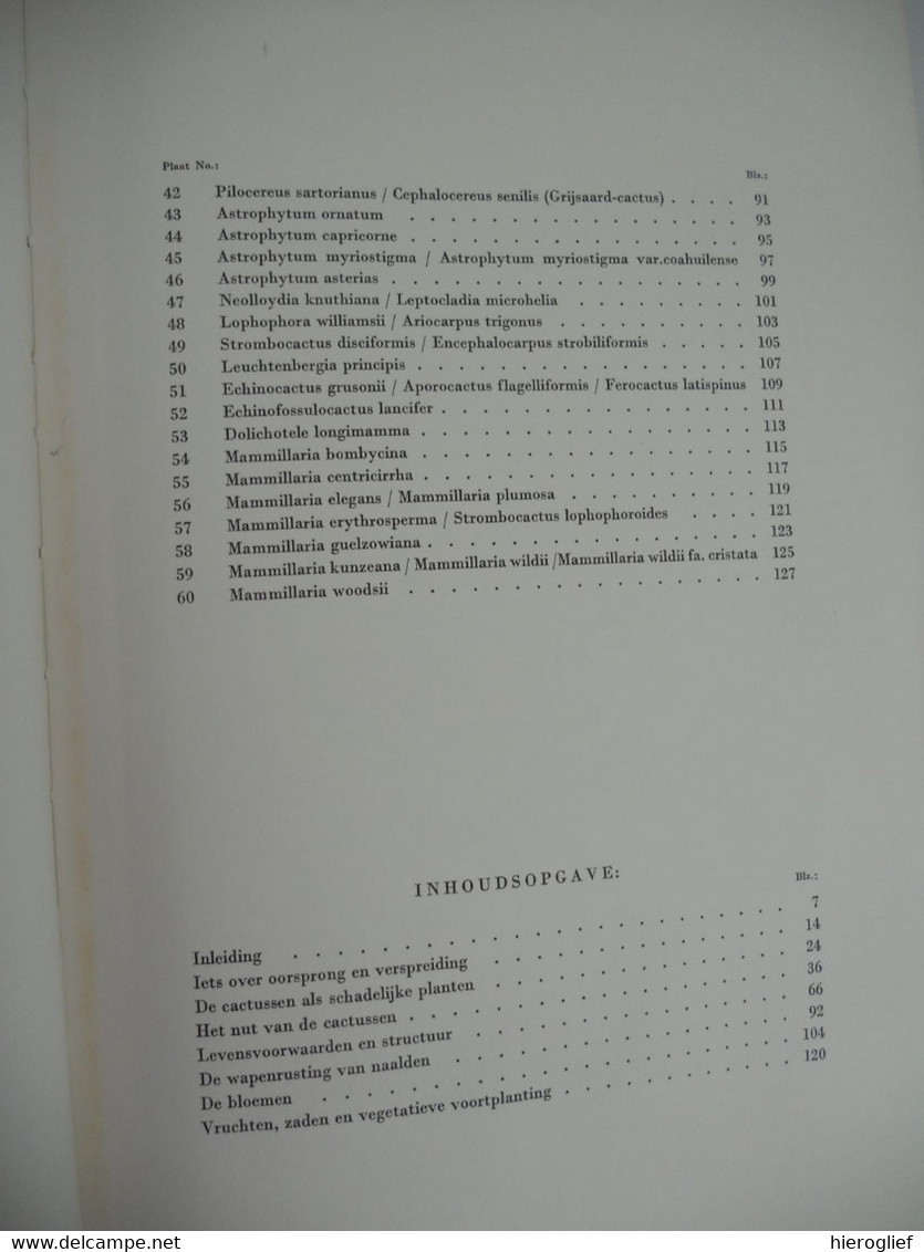 Artis Album Cactussen Met Alle Prenten - Uitgave 1954 VOLLEDIG!! Bloemen Nut Naalden Vruchten Zaden - Artis Historia
