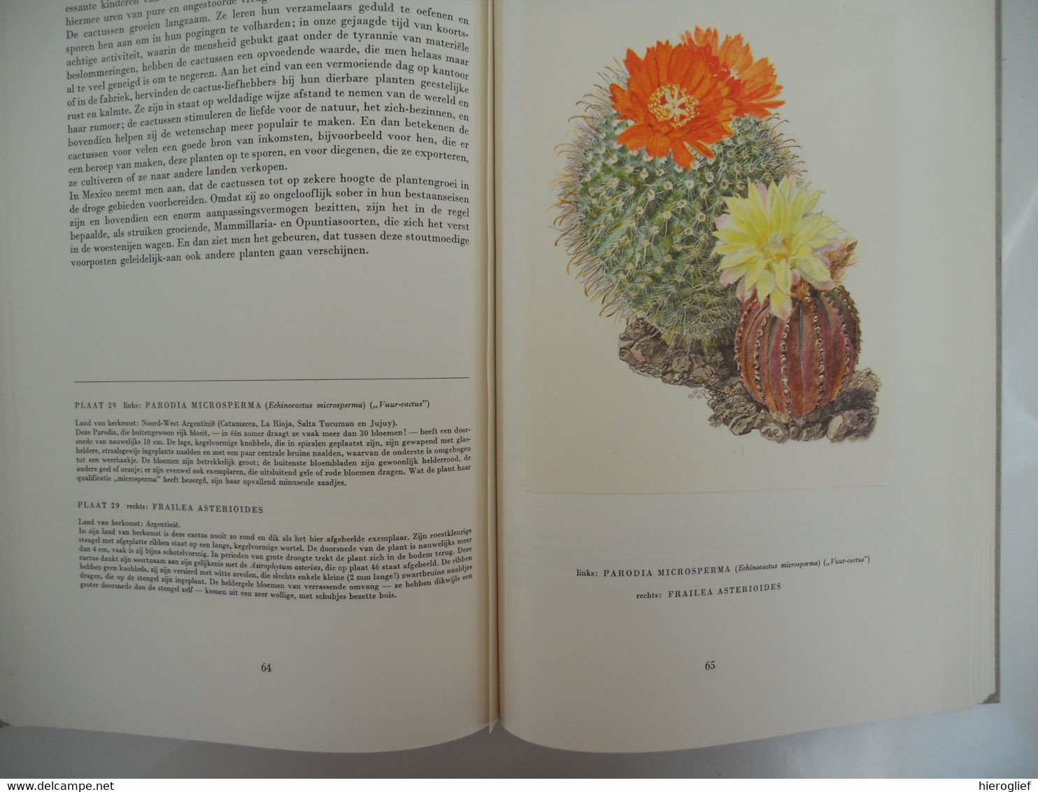 Artis album Cactussen met alle prenten - uitgave 1954 VOLLEDIG!! bloemen nut naalden vruchten zaden