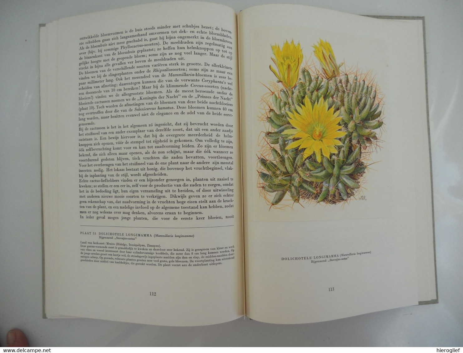 Artis album Cactussen met alle prenten - uitgave 1954 VOLLEDIG!! bloemen nut naalden vruchten zaden