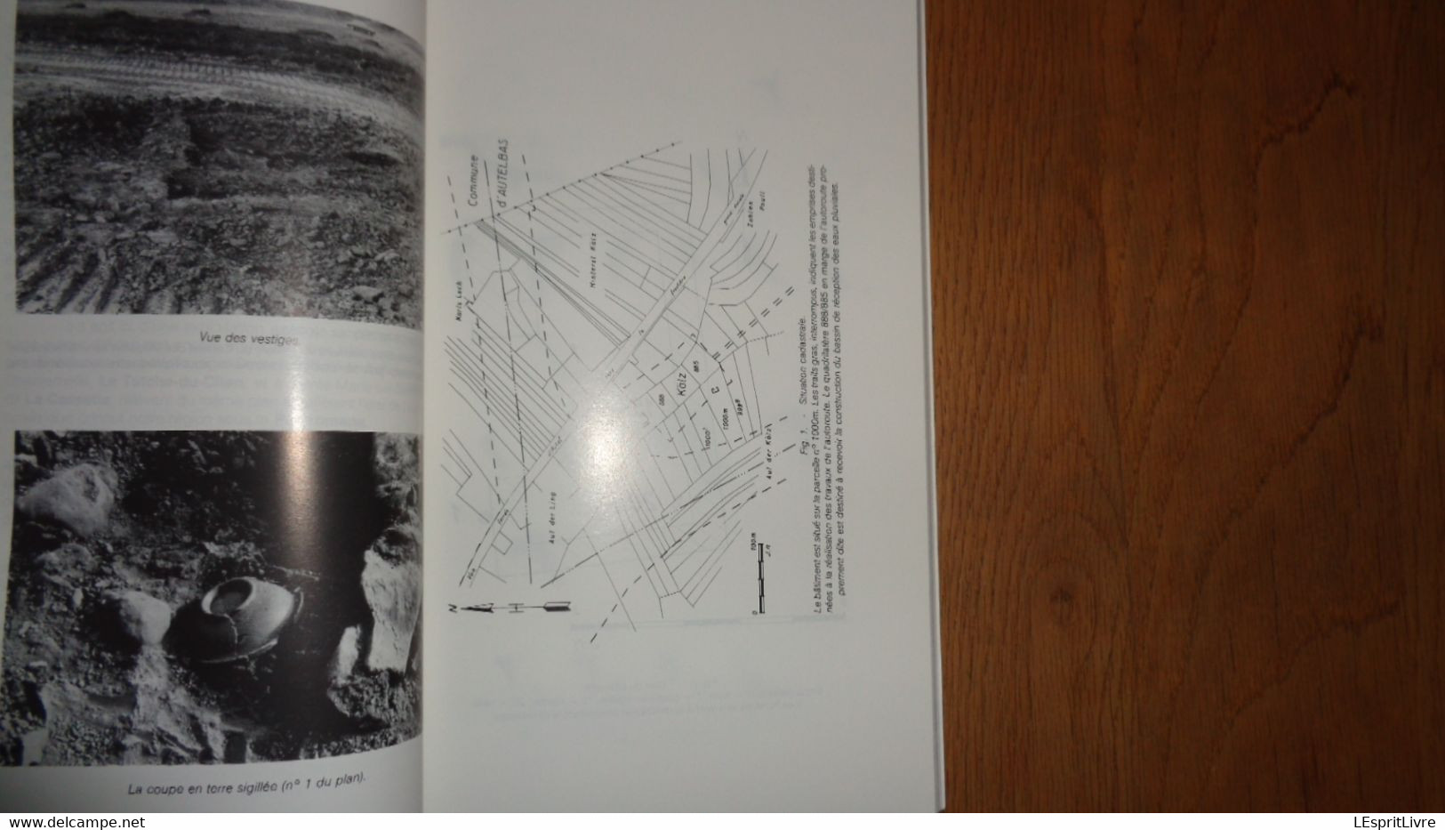 ANNALES INSTITUT ARCHEOLOGIQUE DU LUXEMBOURG ARLON 1981 1982 Régionalisme Métrologie De Vance Honderlange Neufchâteau