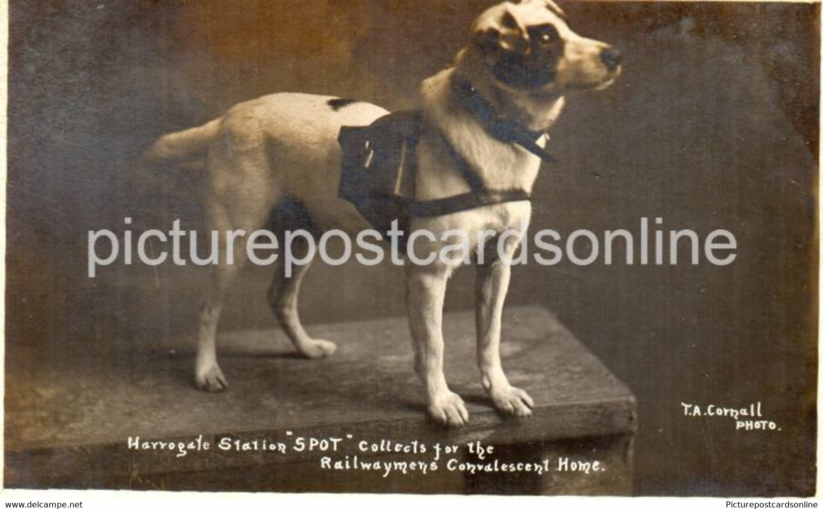 HARROGATE STATION SPOT THE DOG COLLECTS FOR RAILWAYMENS HOME OLD R/P POSTCARD YORKSHIRE RAILWAY - Harrogate