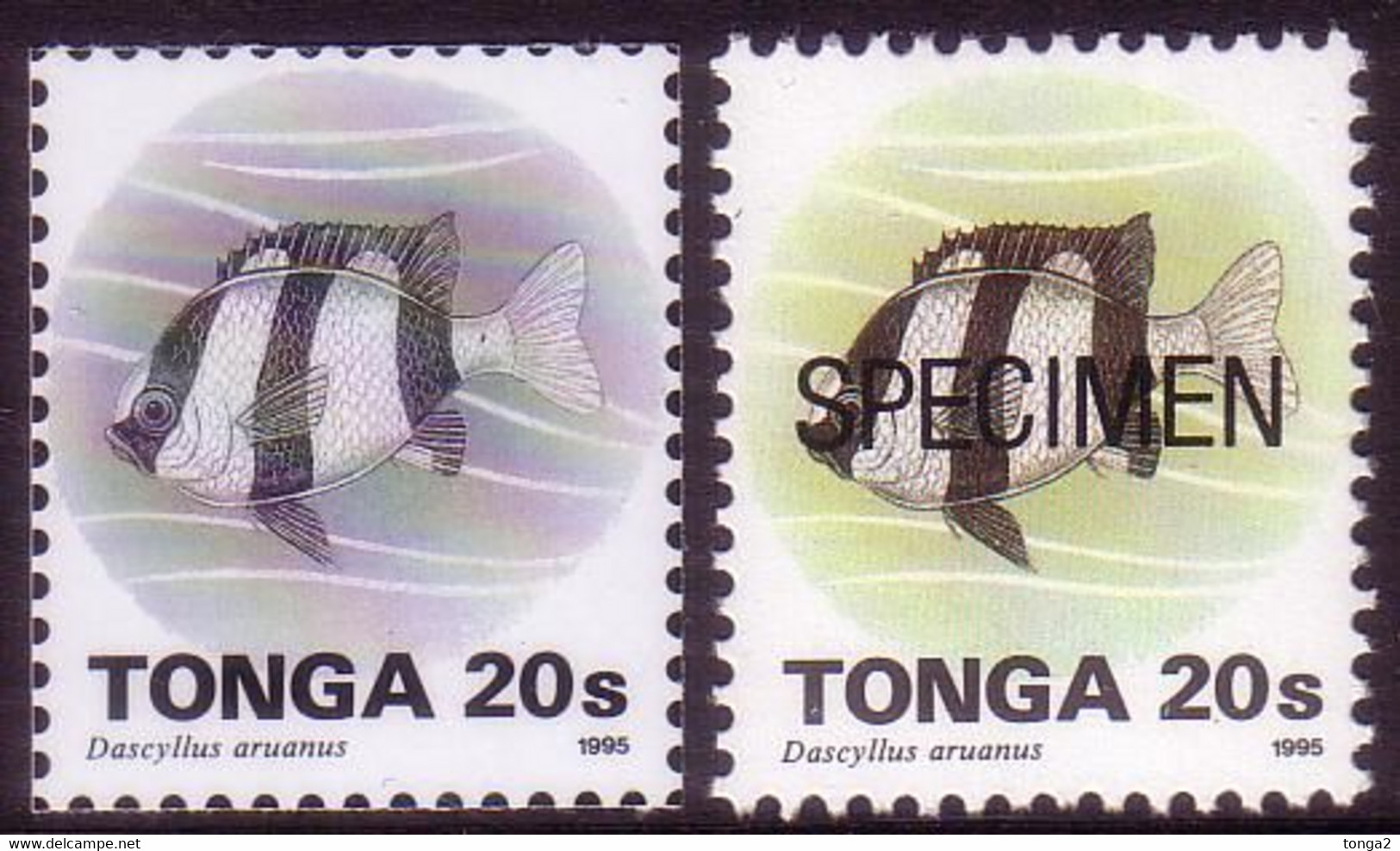 Tonga 1995  20s Fish - Proof In Black & White + Specimen - Tonga (1970-...)