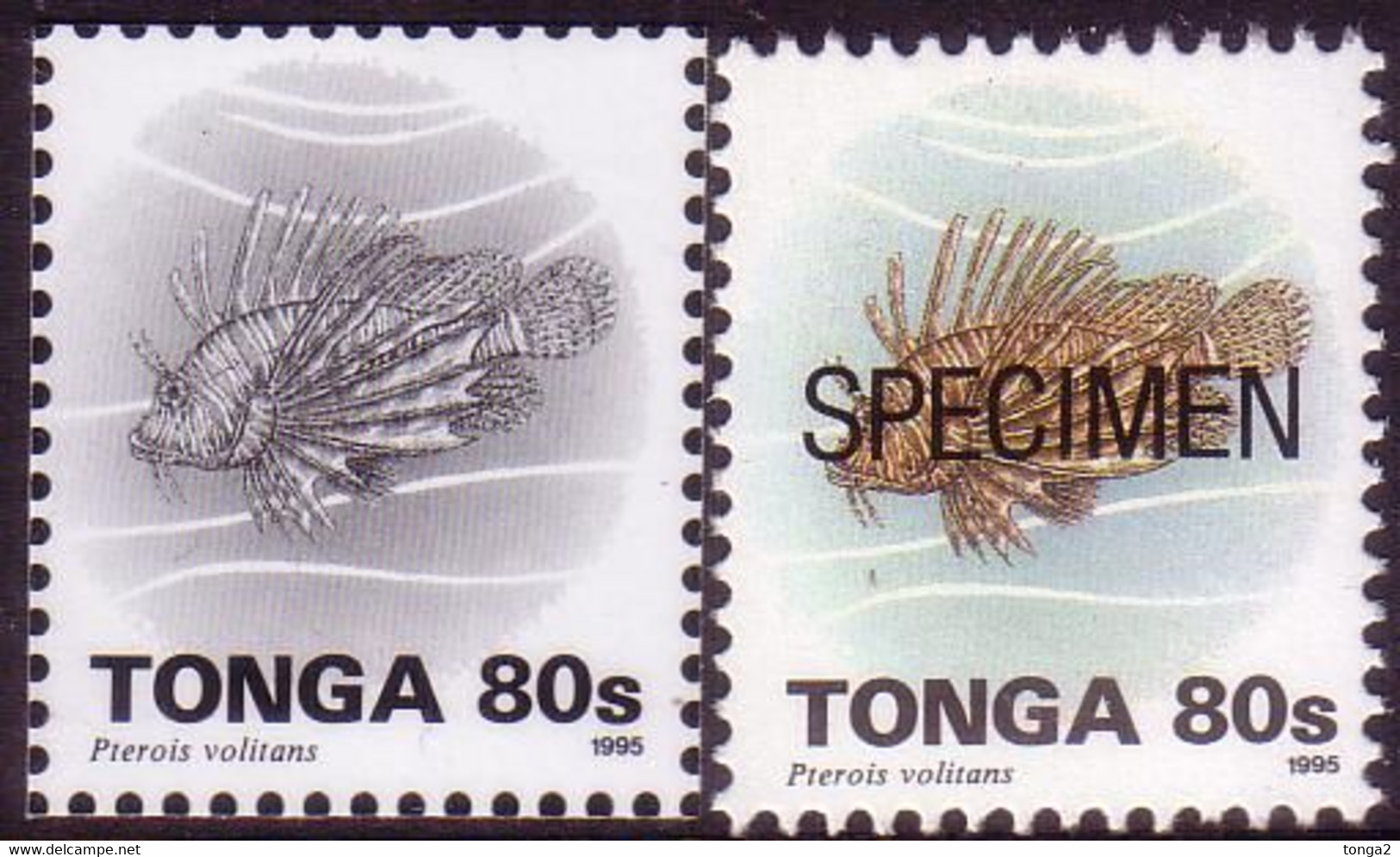 Tonga 1995  80s Fish - Proof In Black & White + Specimen - Tonga (1970-...)