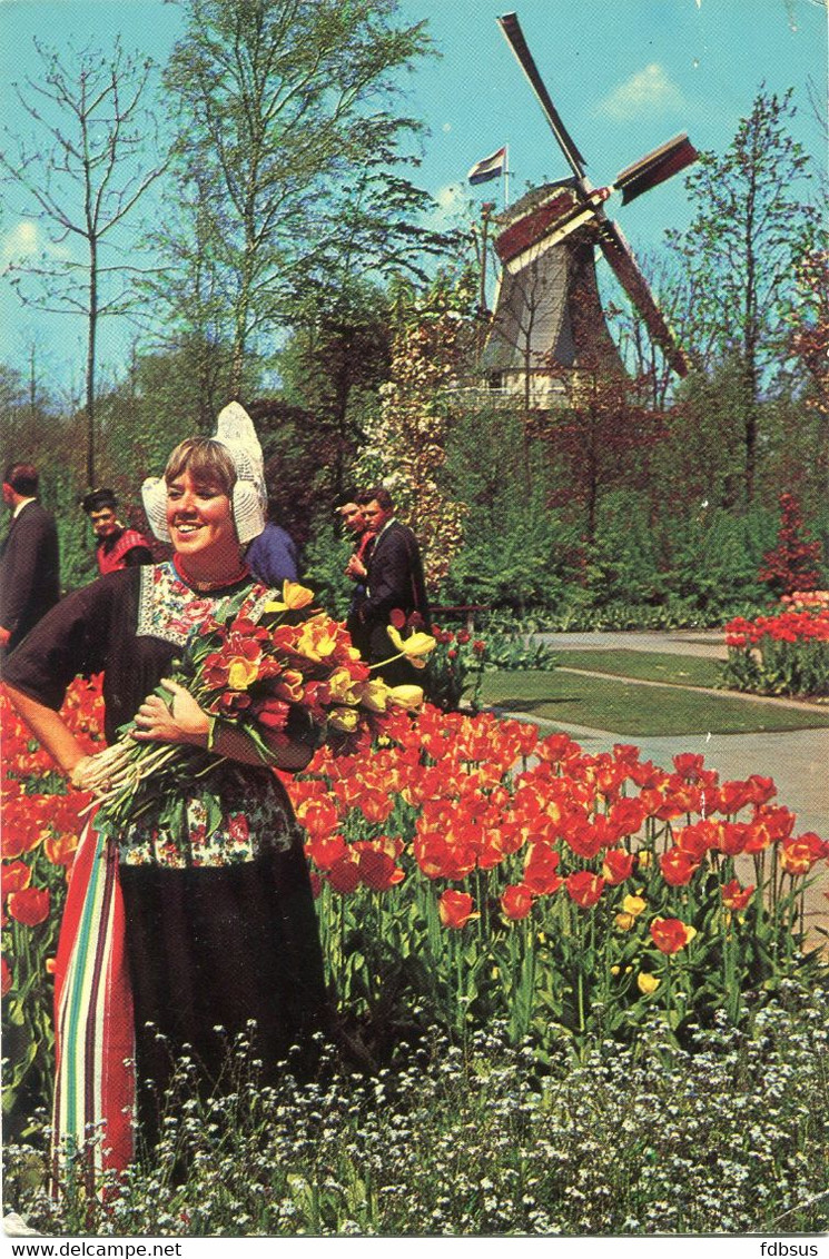 Holland In Bloementooi  - Fleurs - Flowers - Blumen - Keukenhof - Holland -   Beschreven Kaart - UItg. E.C.C. - Lisse