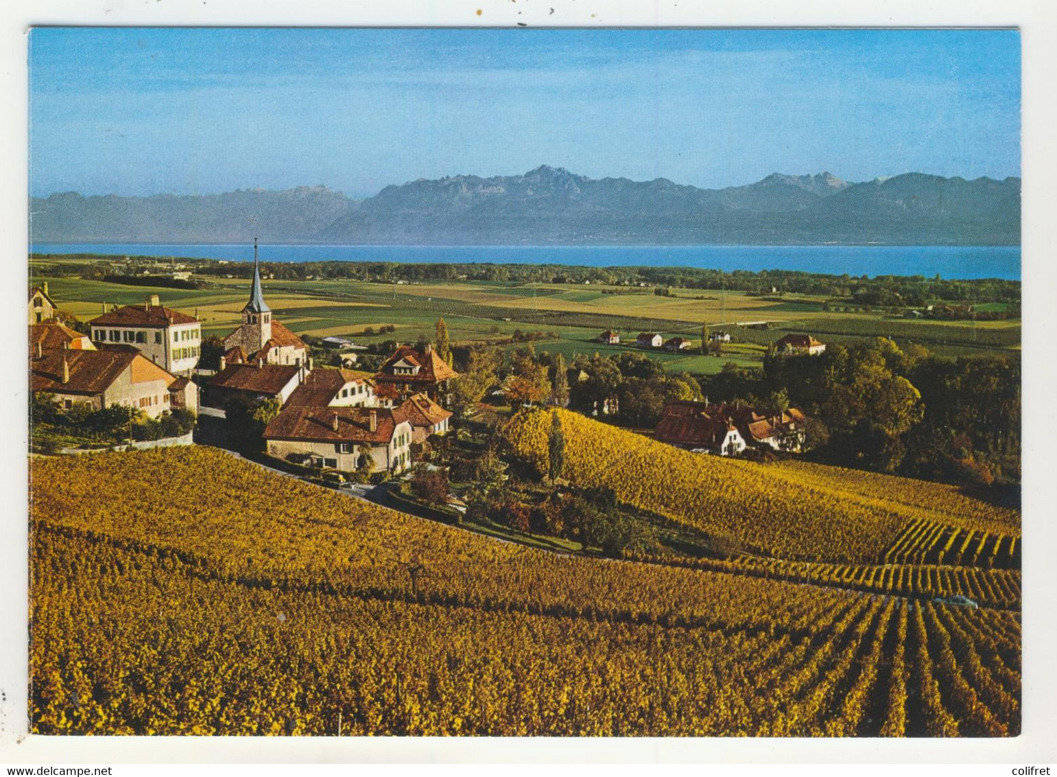 Vaud - Féchy - Les Vignobles (double) - Féchy