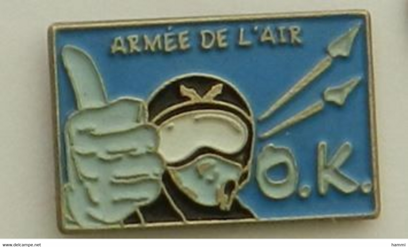 P24 Pin's Armée De L Air Militaire Avion  Achat Immédiat - Militaria