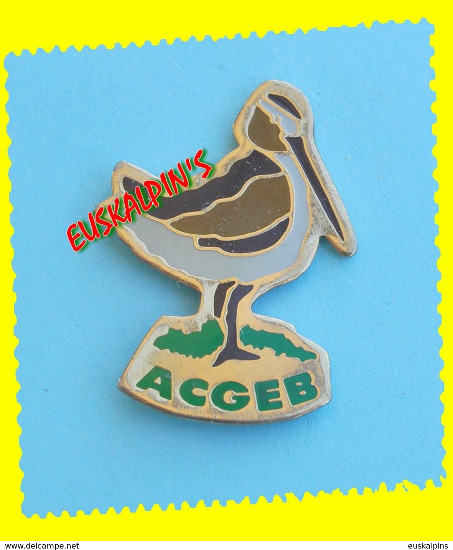 Pin's ACGEB, Association Des Chasseurs De Gibier De'eau Et Bécasse, Oiseau, Bird - Animals