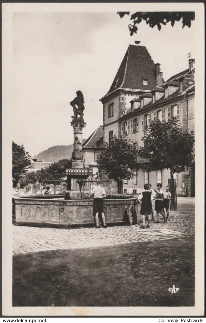 Place Du Marché Avec Fontaine, Munster, C.1950 - CAP Photo CPSM - Munster