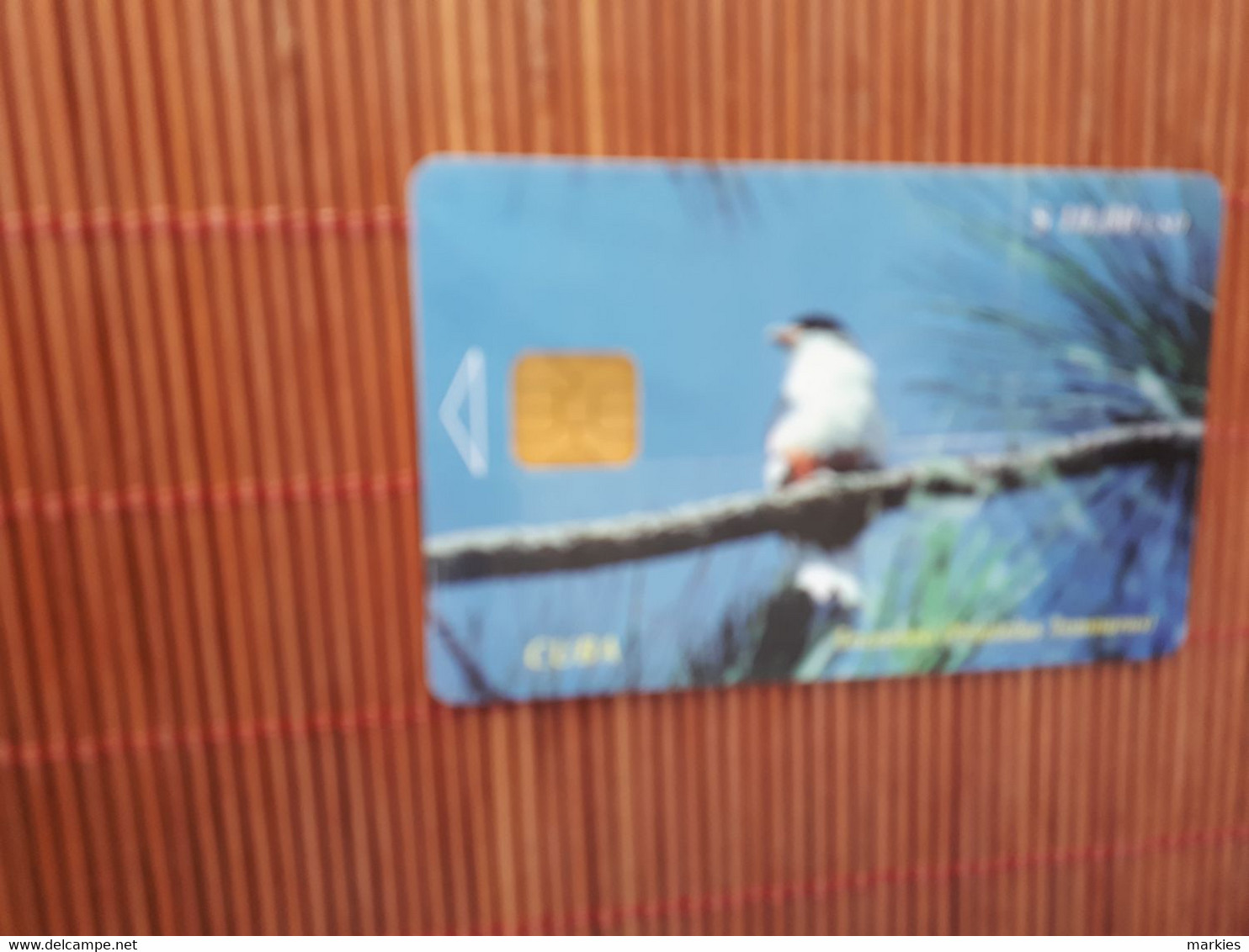 Bird Phonecard Only 40.000 EX Made - Sperlingsvögel & Singvögel