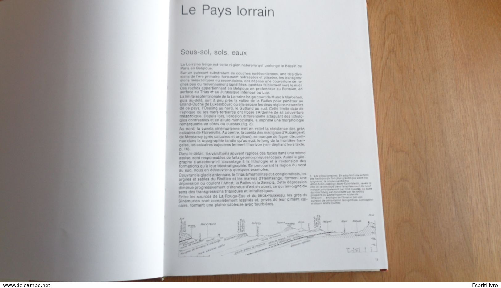 LA LORRAINE Village Paysage Régionalisme Gaume Arlon Attert Virton Chiny Martué Habay Etalle Torgny Musson Ruette Udange - België