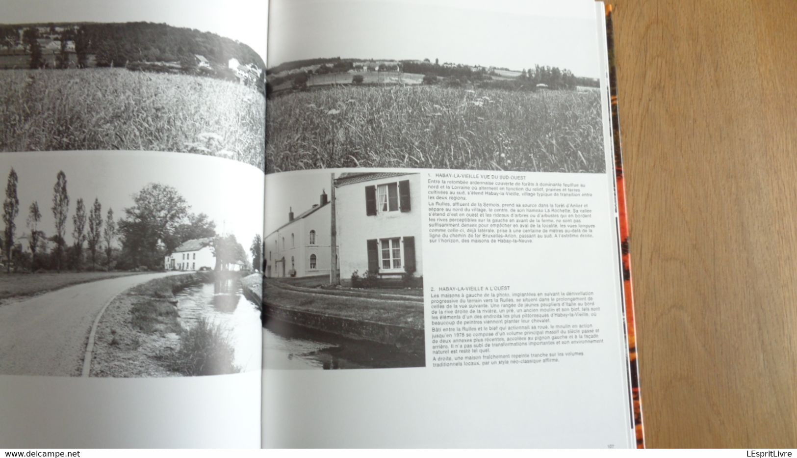 LA LORRAINE Village Paysage Régionalisme Gaume Arlon Attert Virton Chiny Martué Habay Etalle Torgny Musson Ruette Udange