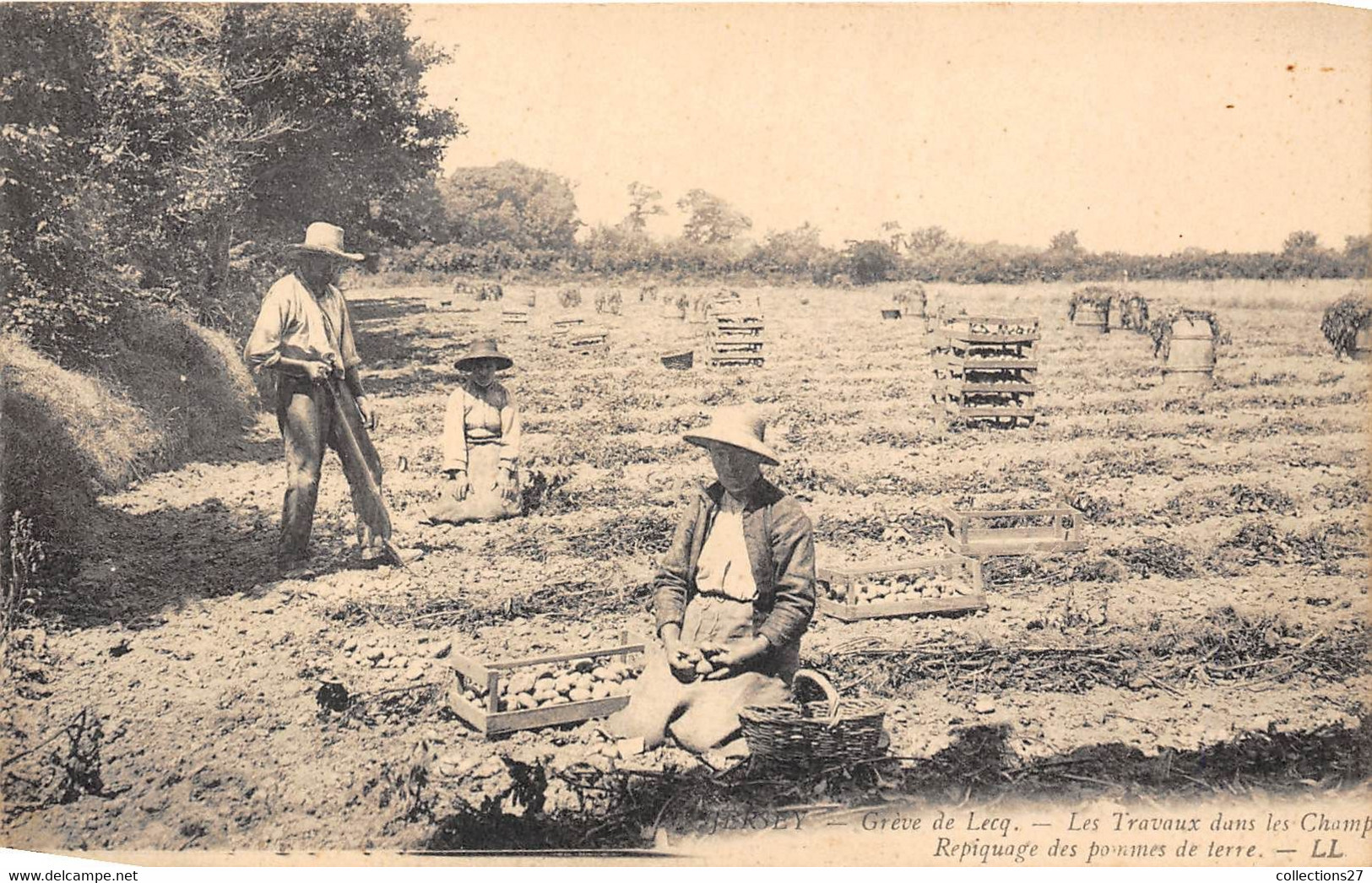 JERSEY-GRÉVE DE LECQ, LES TRAVAUX DANS LES CHAMPS REPIQUAGE DES POMMES DE TERRE - Andere & Zonder Classificatie