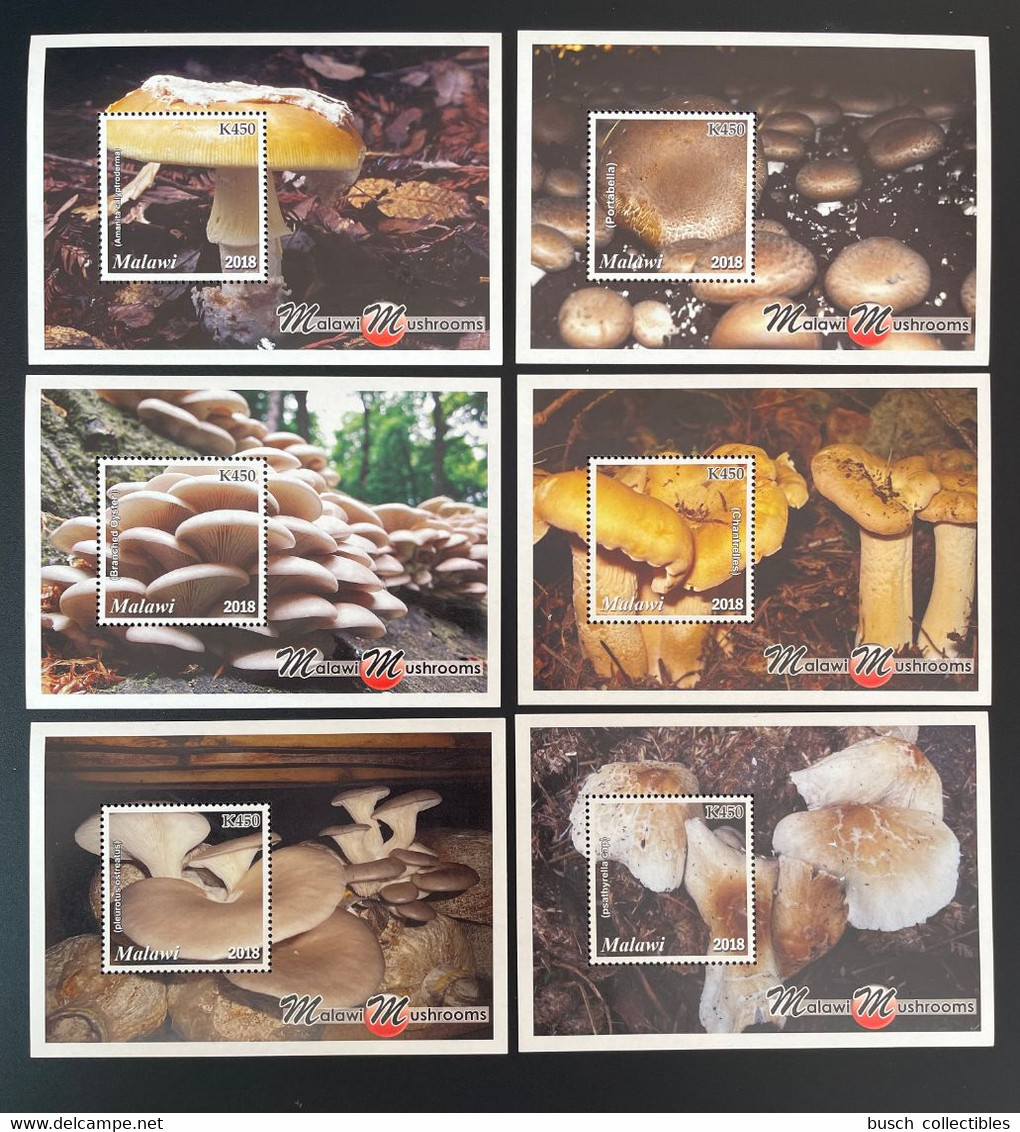 Malawi 2018 Mi. Bl. 140 - 145 Mushroom Pilze Champignons MNH** - Malawi (1964-...)